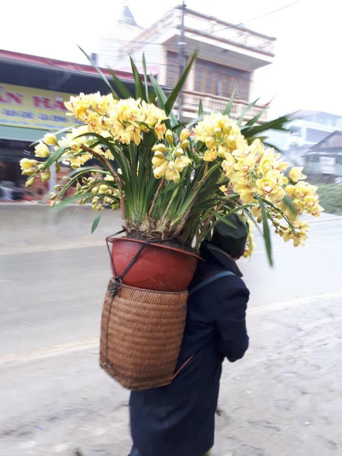 Thuan Ha Hotel Sapa Exteriér fotografie